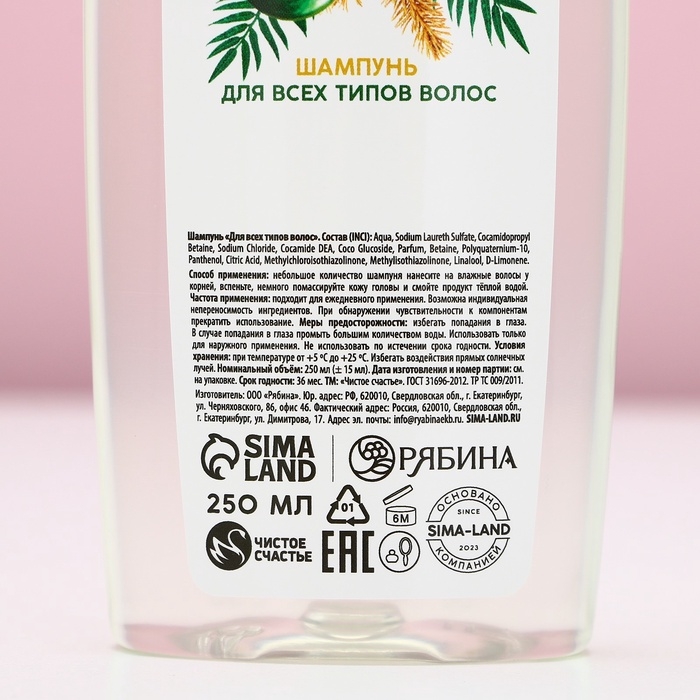 Подарочный набор косметики &laquo;Мечты обязательно сбудутся&raquo;, гель для душа и шампунь для волос, 2 х 250 мл, Новый Год