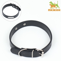 Ошейник из искусственной кожи с шильдом под гравировку, 2,5 х 52 см, ОШ 35-45 см, чёрный Ошейник из искусственной кожи с шильдом под гравировку, 2,5 х 52 см, ОШ 35-45 см, чёрный