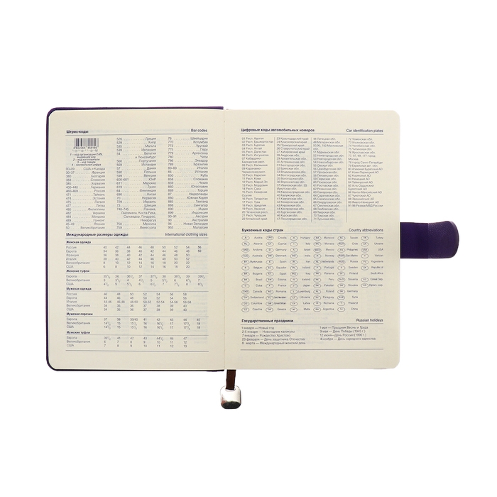 Ежедневник недатированный А5, 140л, клетка, к/зам, с ручкой, в подар. короб., Фиолетовый