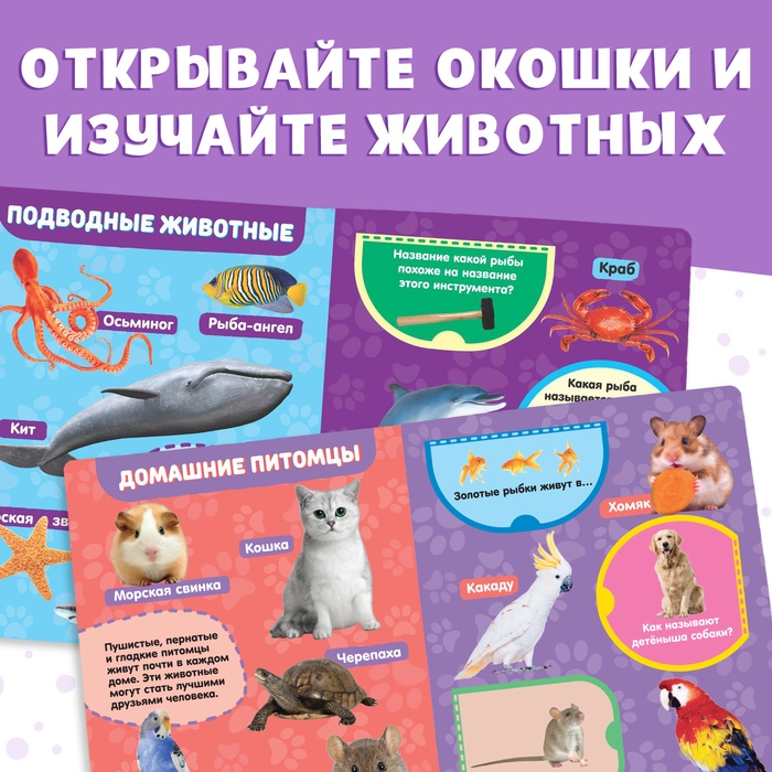 Книжка картонная с окошками &laquo;Животные&raquo;, 10 стр.