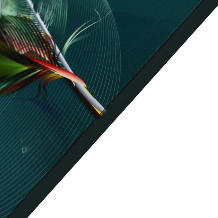 Картина Картина "Перо" 60*100 см