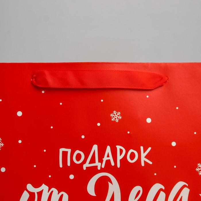 Пакет подарочный новогодний ламинированный &laquo;Подарок от Деда Мороза&raquo;, M 26 х 30 х 9 см