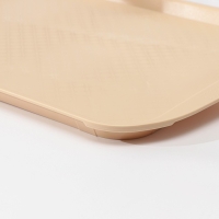 Поднос, 49,5&times;35 см, цвет бежевый