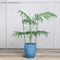 Кустодержатель, d = 15&ndash;17&ndash;19 см, h = 44 см, 3 кольца, металл, зелёный, Greengo