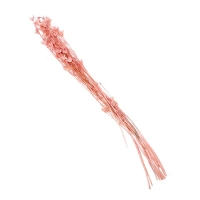 Сухоцвет &laquo;Бадьян&raquo;, розовый, 50 г в упаковке