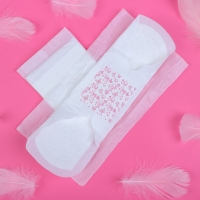 Прокладки &laquo;Mis&raquo; Ультратонкие Super Dry Ночь, 5 капель, удлиненные, 10 шт.