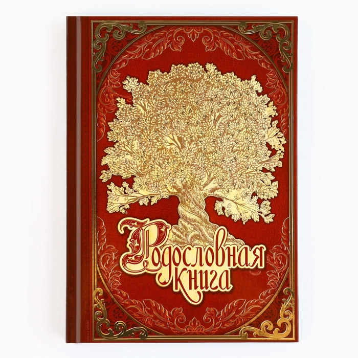 Подарочный набор родословная книга в шкатулке &laquo;Новый год: Дед мороз&raquo;