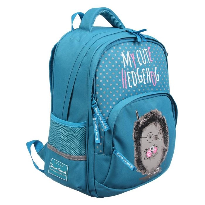 Рюкзак школьный Bruno Visconti "Ёжик", 40 х 30 х 19 см, эргономичная спинка, пенал в подарок