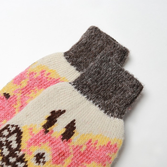 Носки женские шерстяные &laquo;Белка с шишками&raquo;, цвет белый, размер 23