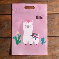 Пакет подарочный, с zip-lock застежкой, 15 х 22,5 см, МИКС