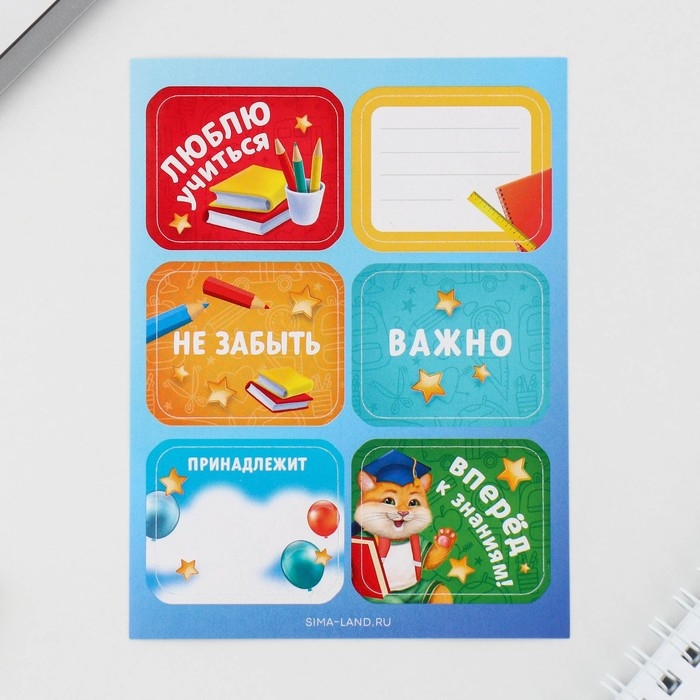 Подарочный набор на выпускной в папке 7 предметов &laquo;ВЫПУСКНИКА детского сада&raquo;