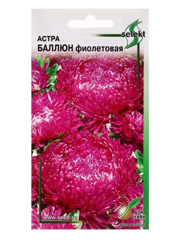 Семена цветов Астра Баллюн фиолетовая 30 шт