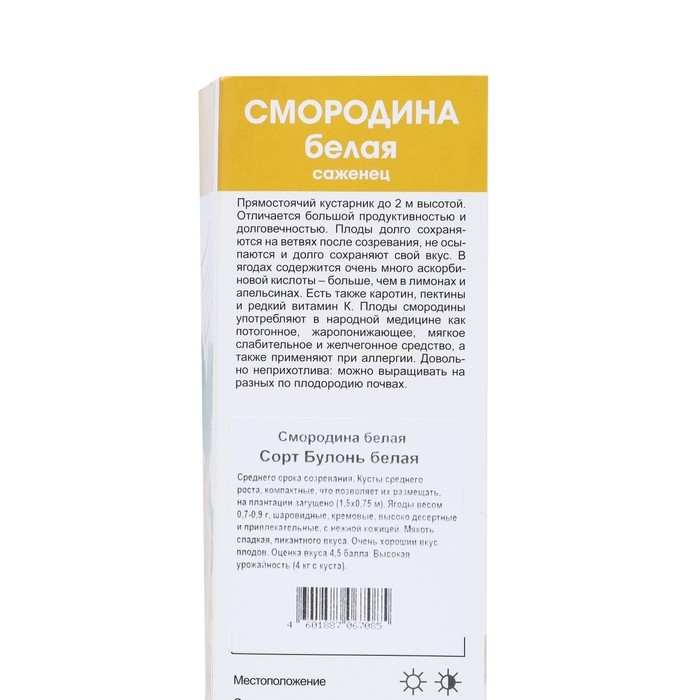 Смородина белая &laquo;Булонь белая&raquo;, традиционные сорта, саженец, туба, 1 шт.