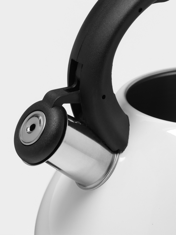 Чайник со свистком из нержавеющей стали Доляна Magic forest, 3 л, с индикатором нагрева, индукция