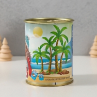 Подарочные носки в банке «Зимняя стужа сменяется кокосовым раем! », (внутри ароматизированные носки женские), кокос Подарочные носки в банке «Зимняя стужа сменяется кокосовым раем! », (внутри ароматизированные носки женские), кокос