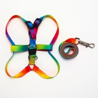 Комплект "Радуга", капрон, поводок 120 х 1,5 см, ОГ 24-34 см, разноцветный