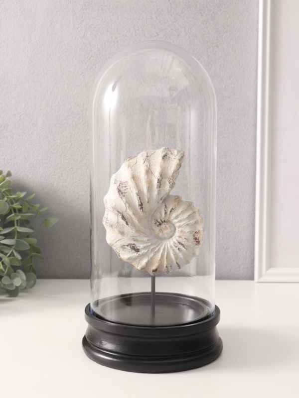 Сувенир полистоун в колбе "Ракушка плоскоспиральная" 14х14х30 см