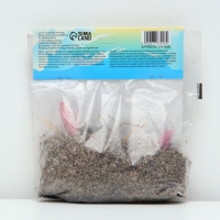 Лилия &laquo;Ориентал Диззи&raquo;, луковица в пакете с перфорацией, р-р 14/16, 2 шт.