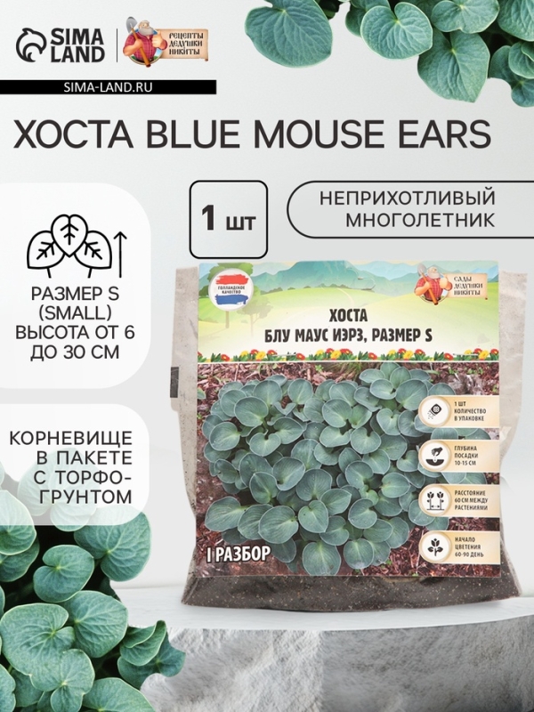 Хоста Blue Mouse Ears, корневище в пакете с торфогрунтом, р-р I, размер S,1 шт.