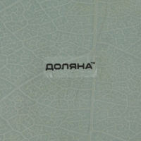 Блюдо сервировочное стеклянное Доляна &laquo;Лист&raquo;, 31&times;19 см, цвет зелёный