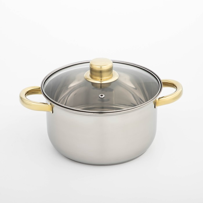Кастрюля из нержавеющей стали с крышкой Доляна &laquo;Роскошь&raquo;, 3 л, d=20 см