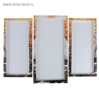 Модульная картина "Лебединое озеро"  (2-25х52; 1-30х60) 60х80 см