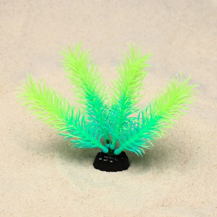 Растение искусственное аквариумное, светящееся, 10 см, зелёное Растение искусственное аквариумное, светящееся, 10 см, зелёное