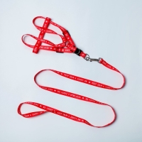 Комплект Keep calm & carry on, шлейка 36-49 см, поводок 120х1,5 см Комплект Keep calm & carry on, шлейка 36-49 см, поводок 120х1,5 см