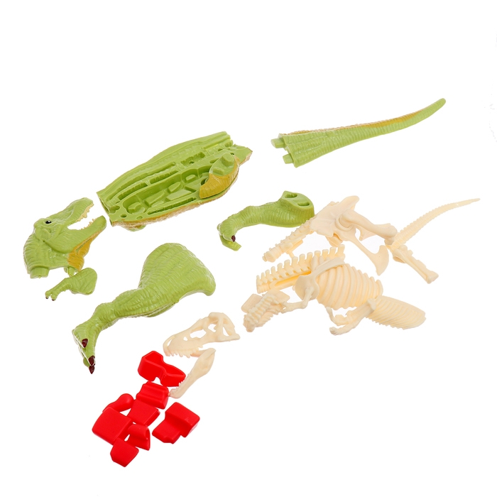 Набор для опытов &laquo;Диномир: Тираннозавр&raquo;, строение тела динозавра, 33 детали