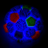 Ёжка &laquo;Мячик&raquo; световой, цвета МИКС
