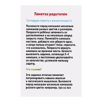 Развивающий набор &laquo;Цветные камешки&raquo;