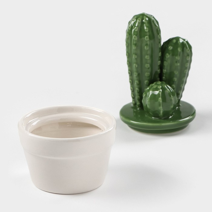 Банка для хранения сыпучих продуктов Доляна &laquo;Кактус&raquo;, 170 мл, 8&times;8&times;15 см, керамическая