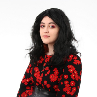 Карнавальный парик «Кудряшки» Карнавальный парик «Кудряшки»