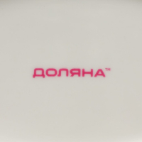 Блюдо фарфоровое Доляна &laquo;Зелёный сад&raquo;, 22,5&times;12&times;1,7 см, цвет белый