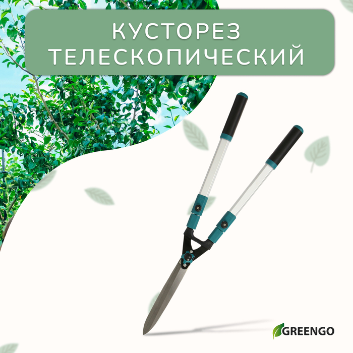 Кусторез, 31&minus;44,5" (79&minus;113 см), телескопический, с металлическими ручками , Greengo