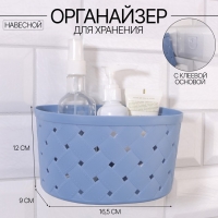 Органайзер для хранения, навесной, 1 секция, с клеевыми крючками, 16,5 × 12 × 9 см, цвет МИКС Органайзер для хранения, навесной, 1 секция, с клеевыми крючками, 16,5 × 12 × 9 см, цвет МИКС