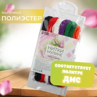 Набор ниток мулине №15, 8 ± 1 м, 6 шт Набор ниток мулине №15, 8 ± 1 м, 6 шт