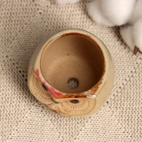 Горшок "Сова Ава" 6х6х6,5см, МИКС