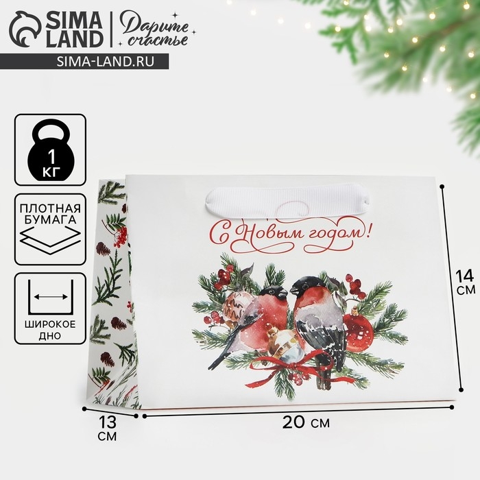 Пакет подарочный новогодний с широким дном &laquo;С Новым годом&raquo;, 20&times;14&times;13 см