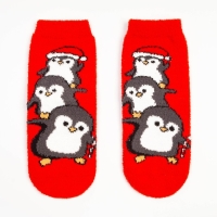 Носки женские махровые &laquo;Пингвинята&raquo;, цвет красный, размер 36-40