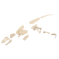 Набор для опытов &laquo;Диномир: Тираннозавр&raquo;, строение тела динозавра, 33 детали