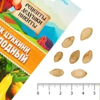 Семена Кабачок цуккини "Желтоплодный", 1 г
