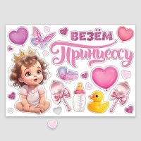 Набор магнитов на авто &laquo;Везем принцессу&raquo;, на выписку, 42 см х 29,7 см