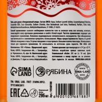 Гель для душа &laquo;Мамино домашнее печенье&raquo;, 295 мл, аромат имбирного печенья, Новый Год