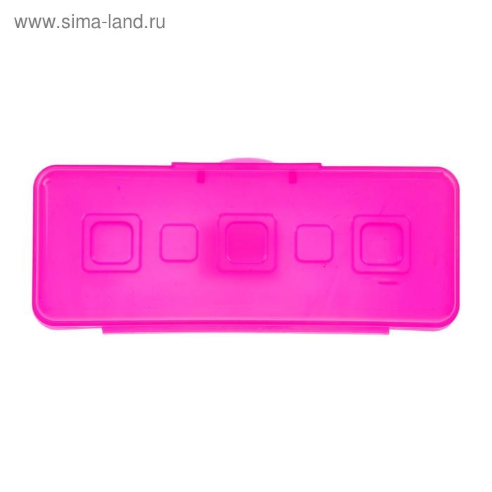 Пенал-футляр Calligrata Пенал-футляр Calligrata "Школьный", 80 х 205 х 38 мм, полупрозрачный. пластиковый, микс