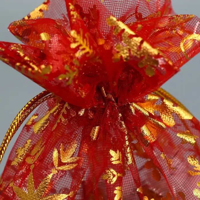 Мешочек подарочный органза &laquo;С Новым Годом!&raquo;, 16 х 24 см +/- 1.5 см