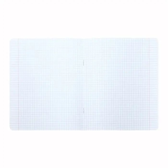 Тетрадь 12 листов в клетку Calligrata &laquo;Влад А4&raquo;, обложка мелованный картон, МИКС