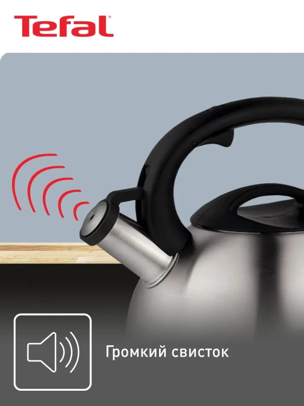 Чайник для плиты C7921024 из нержавеющей стали, со свистком