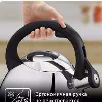 Чайник для плиты Duetto+ N4180110, 2.7 л, стальной