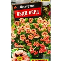 Семена цветов Настурция Леди берд , Ц/П,1 г